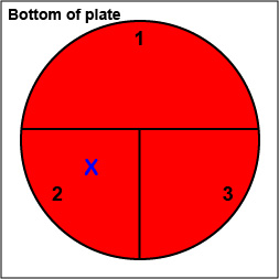 Illustration of how to label your blood agar plate for inoculation.